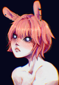 Rabbit